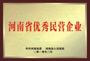 河南省优秀民营企业